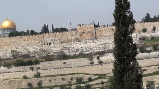 Золотые ворота смотреть онлайн