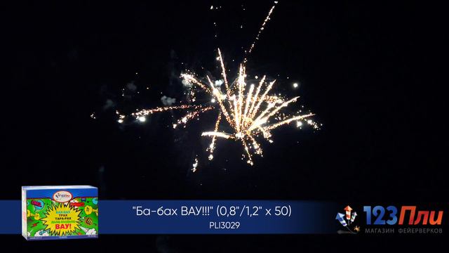 Ба-бах-вау! PLI3029 смотреть онлайн