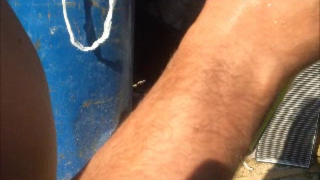 квкг смотреть онлайн