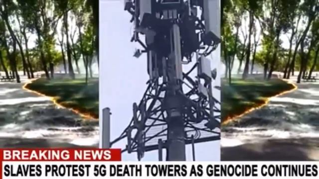 BIRDS ATTACK 5G KILLER TOWER смотреть онлайн