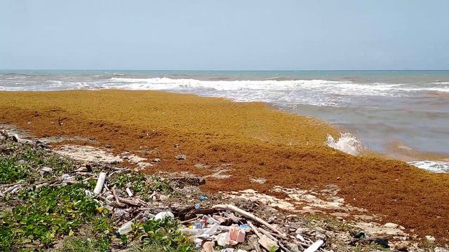 После урагана Эльза. смотреть онлайн
