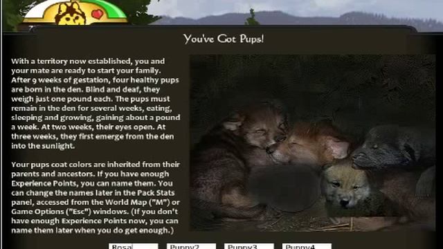 Прохож игры WolfQuest 3 часть смотреть онлайн