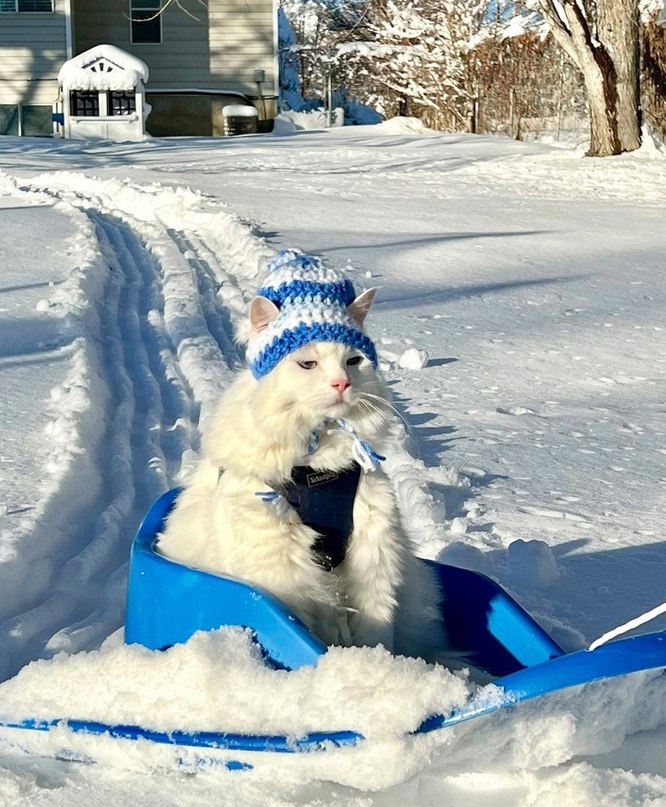 Вспомним Новогоднее настроение) смотреть онлайн