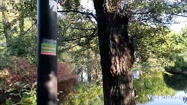 Завершаем прогулку по прекрасному осеннему парку! смотреть онлайн