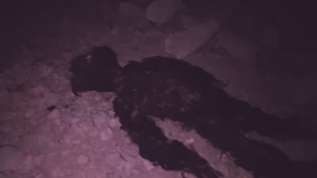 ЙЕТИ В ДАГЕСТАНЕ! НЕИЗВЕСТНОЕ СУЩЕСТВО В Горах Джуфудаг, южного Дагестана смотреть онлайн