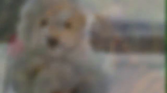 Милые картинки смотреть онлайн