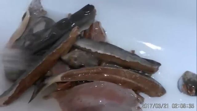 Анимационные Сериалы