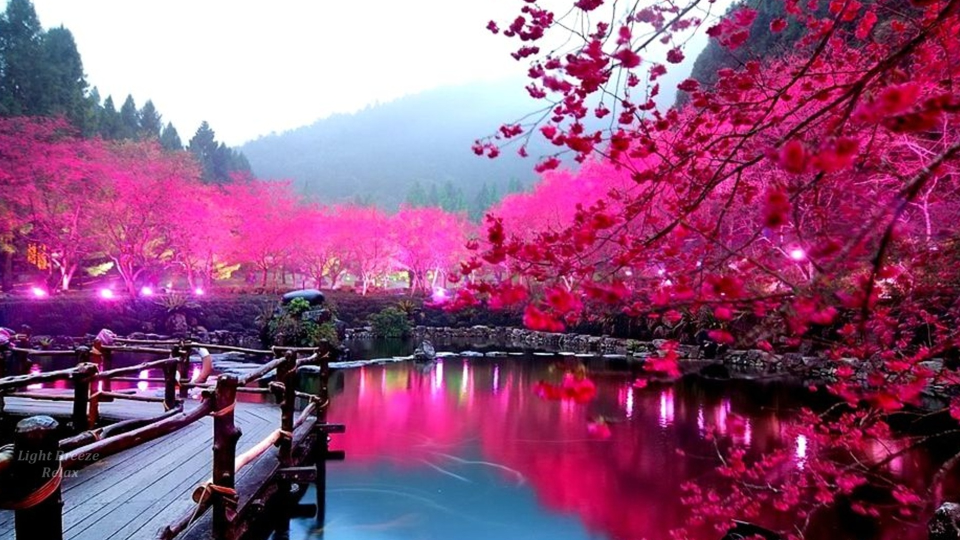 Цветущие Японские Сады и Музыка Энигматик смотреть онлайн