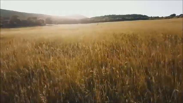 CÂMERA LENTA l Música Relaxante, Meditação, Música para Dormir, Paz interior. смотреть онлайн