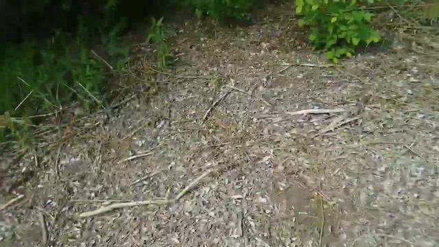 Охота с пневматикой мр512,на утку