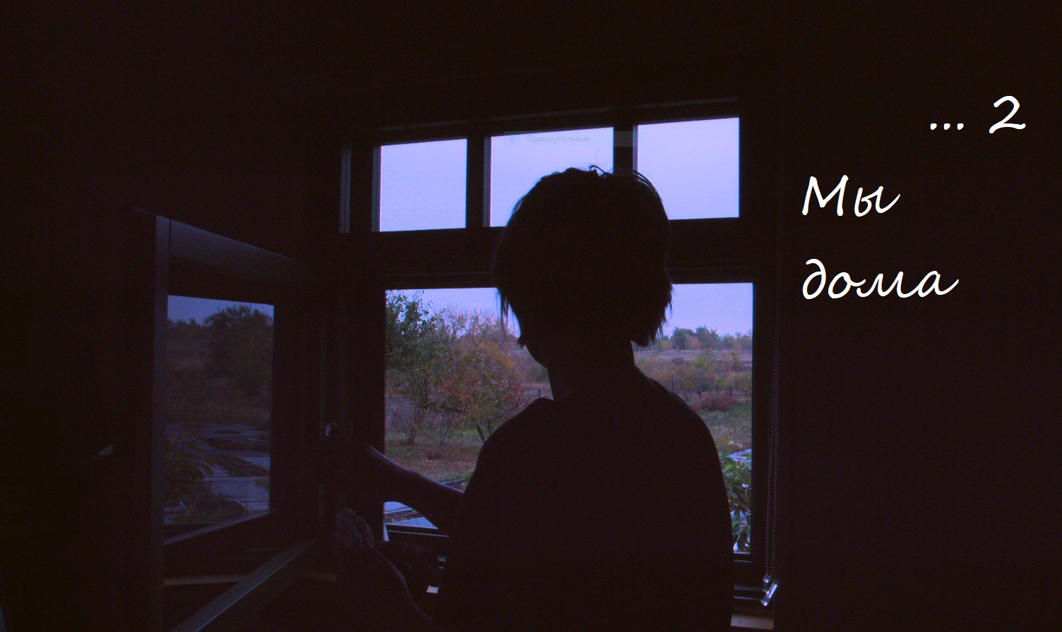 МЫ ДОМА.