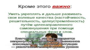 Что такое конвекция в духовке газовой плиты