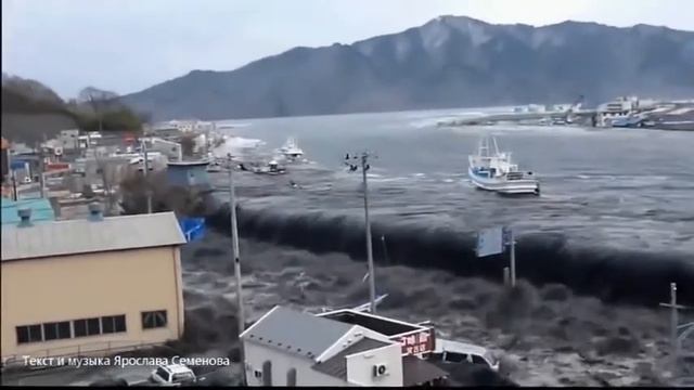 Наш дом Земля смотреть онлайн
