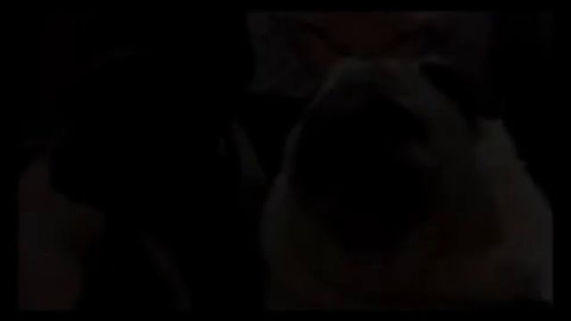 Ржач до слез 2017!!!! смотреть онлайн