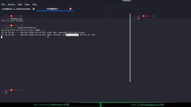 File Inclusion All-In-One смотреть онлайн