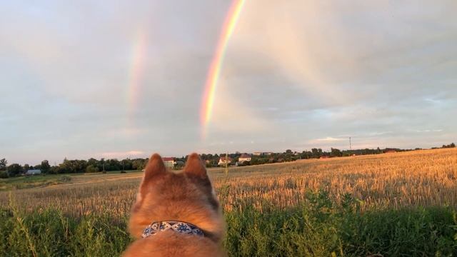 Двойная радуга | Уникальное природное явление, которое увидели первый раз в жизни смотреть онлайн