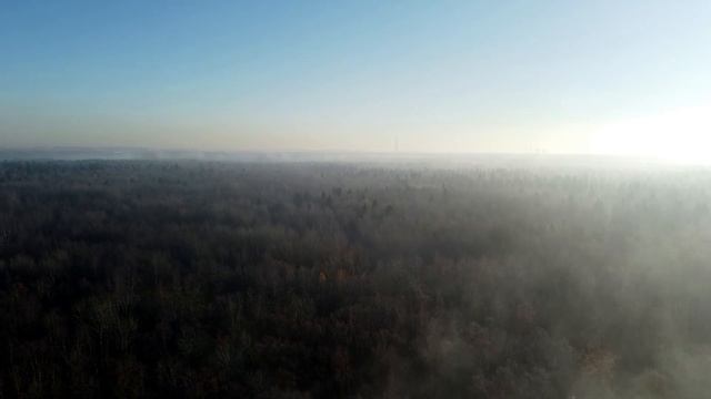 Сестрорецкий разлив утром с высоты птичьего полёта смотреть онлайн