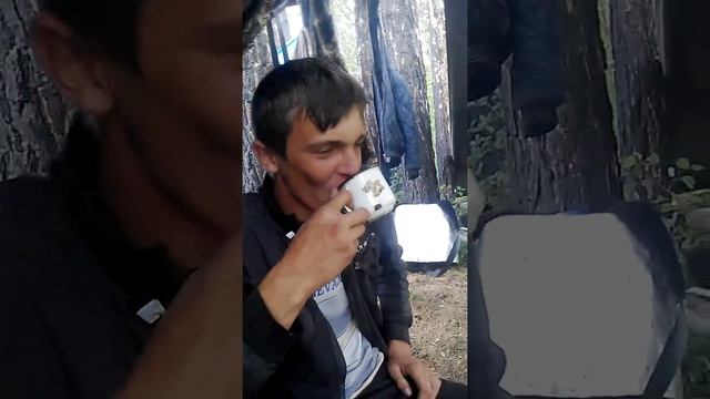 Как правильно пить чай от Тимона смотреть онлайн