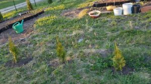 #дача #огород Самая крутая дача,уход за дачей.