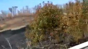 Мариуполь 05.09.2014 разбитый танк на блокпосту на трассе Новоазовск  его двигатель работает