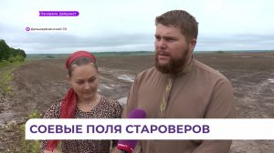 Семья староверов из Дальнереченска засеяла более 200 гектаров сои