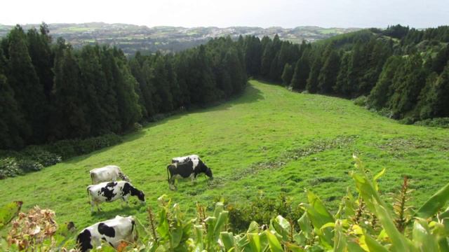 Terra Nostra - Terra do fogo смотреть онлайн