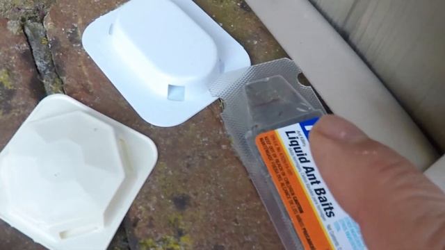 Best Ant Baits - How to Get Rid of Ants with Terro or Amdro смотреть онлайн
