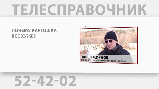 «Телесправочник»: Почему картошка с каждым годом становится все хуже? смотреть онлайн