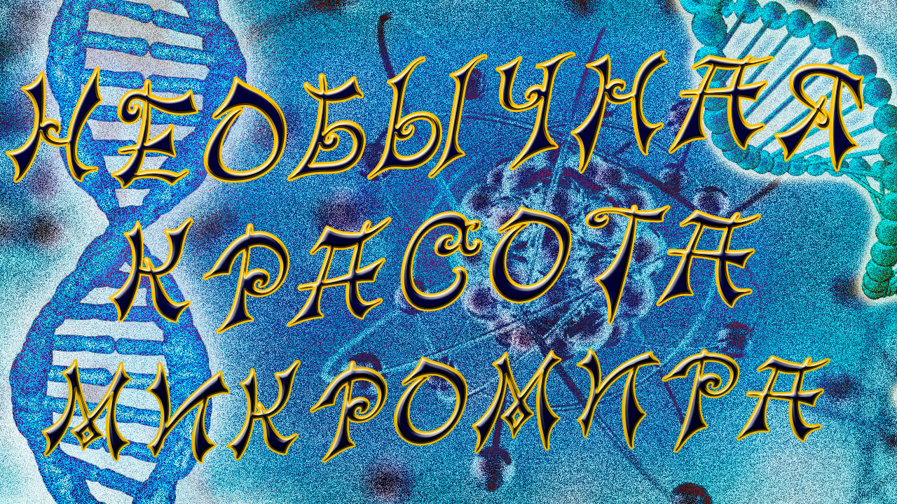 Удивительная красота микромира. Интересное видео под микроскопом.