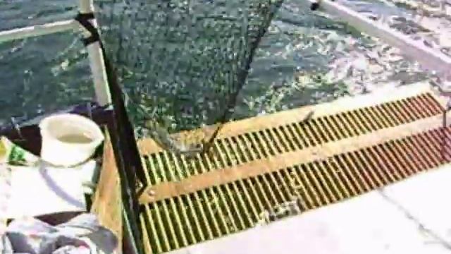 Отдых и рыбалка на Байкале. смотреть онлайн