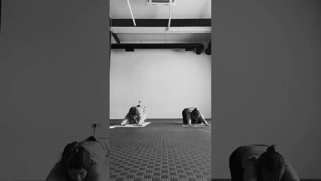 Разминка – основная составляющая в йоге. Поэтому я уделяю ей не меньше 10-15 минут перед практикой. смотреть онлайн