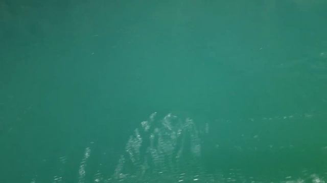 ЧУДО ПРИРОДЫ В ГРУЗИИ - МАРТВИЛЬСКИЙ КАНЬОН (СОВСЕМ МЕЛКИЙ, ПОСЛЕДНИЙ ДЕНЬ ЛЕТА, 4К) смотреть онлайн