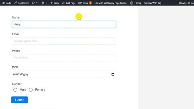 Conditional Logics Redirect Page On Form Submit in Bit Form(Record Create and Edit Always) смотреть онлайн