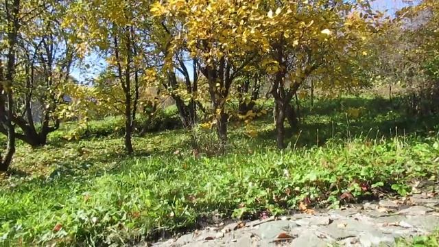 Счастлив я без весны... смотреть онлайн