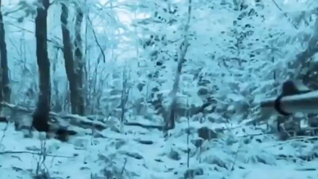 Убил кабана смотреть до конца смотреть онлайн