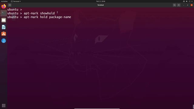 How to Patch Ubuntu Linux Server | LINUX OS Patching | Ubuntu Patching (#LINUX #UBUNTU #OSPATCHING) смотреть онлайн