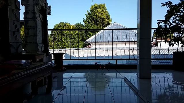 Test singkat Drone MJX Bugs 6 Racing(2) смотреть онлайн