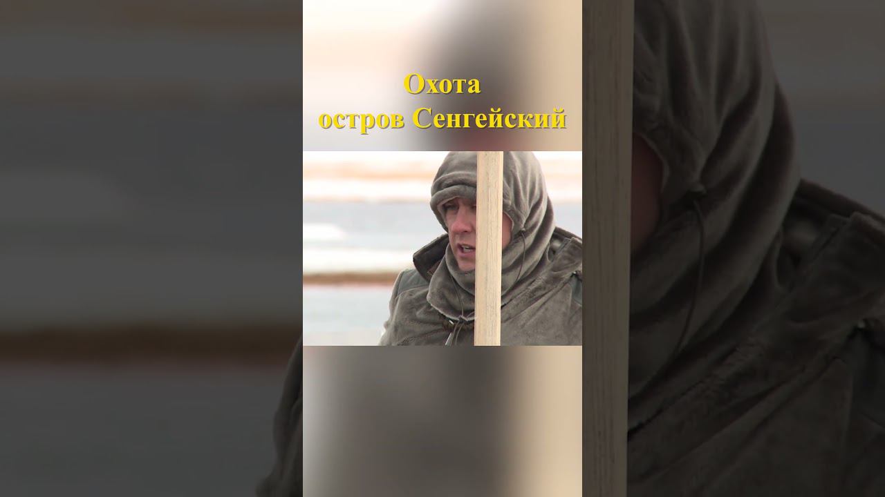 Охота на острове Сенгейский 6 #охотанагуся #охотавроссии смотреть онлайн