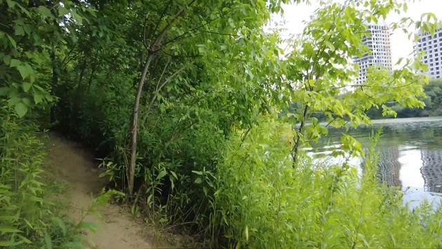 POV Moscow: Moscow river in Kuntsevo. Москва-река в Кунцево. 31.07.22 смотреть онлайн