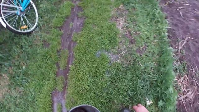 Их ТЫСЯЧИ Как собрать ведро червей за пол часа и без лопаты смотреть онлайн