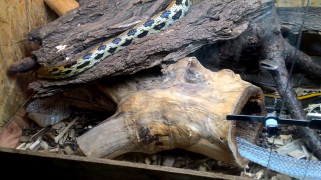 23 июня 2016 г. смотреть онлайн