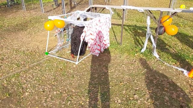 Людмила и РЧТ Тося смотреть онлайн