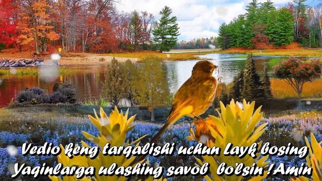 БУ СУРАНИ 33 МАРТА УҚИНГ НИМА БУЛИШИНИ КИЙИН КУРАСИЗ смотреть онлайн