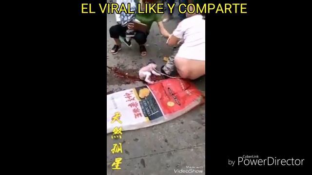 Mujer da a luz en plena calle смотреть онлайн