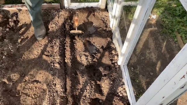 ОГУРЦЫ В ОТКРЫТОМ ГРУНТЕ СОВЕТЫ ПО УХОДУ #огурцы #верандацветысадогород #теплица #дача смотреть онлайн