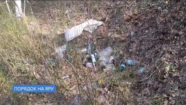 В косихинском Яру любви местные активисты провели субботник смотреть онлайн