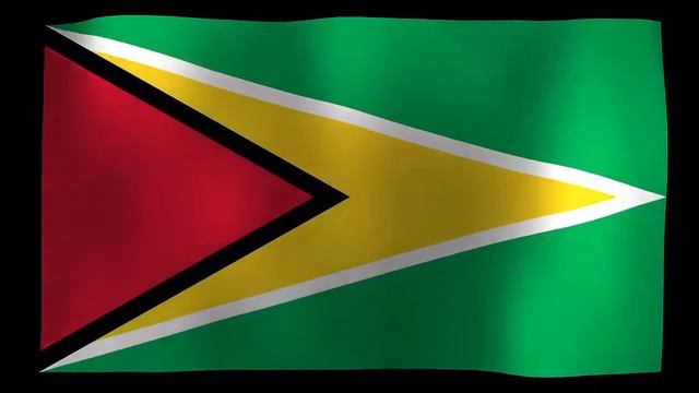 Флаги стран Южной Америки. смотреть онлайн