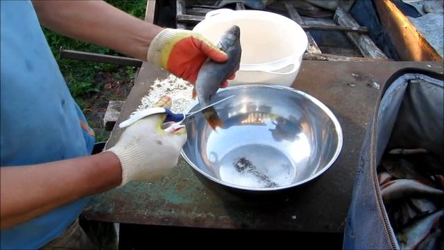 Разделка окуня ножницами смотреть онлайн