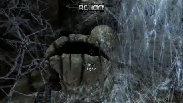 Let's Play Skyrim! Getting follower mod Recorder смотреть онлайн