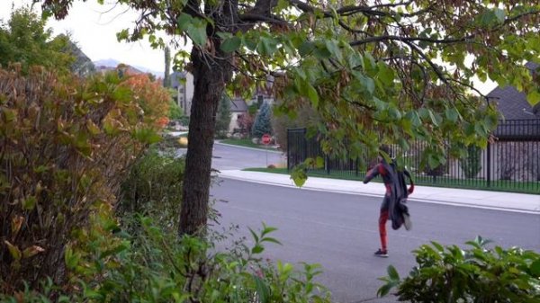 Ninja Kidz Team Up With Batman and Robin Movie Remastered!